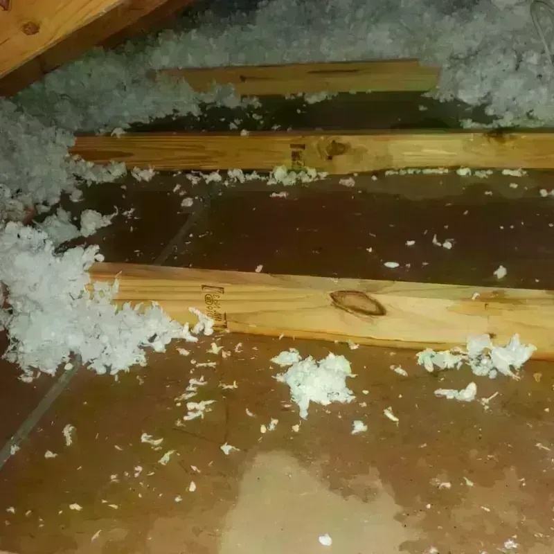 Attic Water Damage in Honaunau-Napoopoo, HI